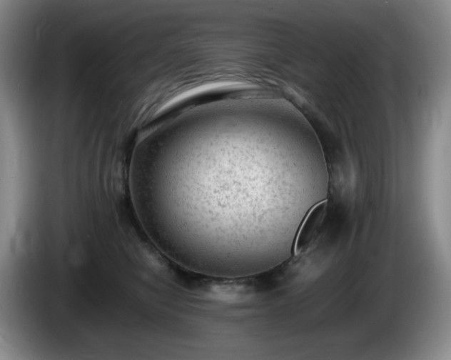 X0000085010470200703121525