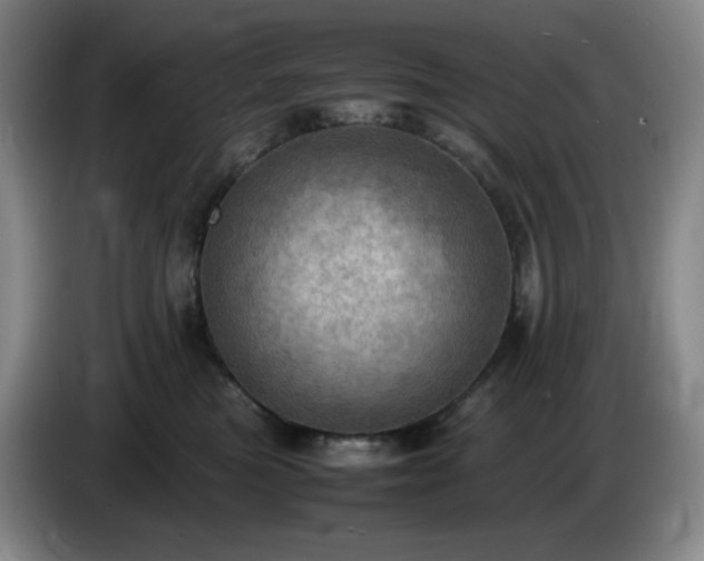 X0000085010473200703121525