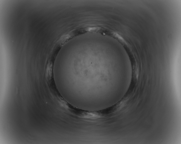 X0000085010475200703121525