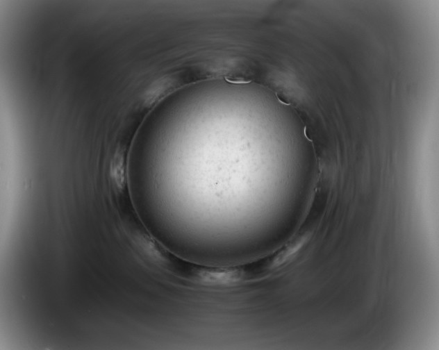X0000085010479200703121525