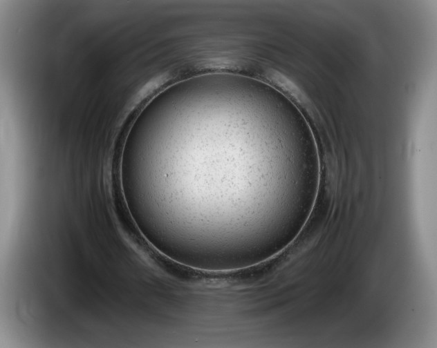 X0000085010482200703121525