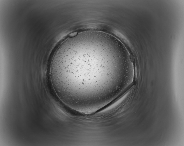 X0000085010483200703121525
