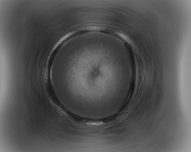 X0000085010484200703121525