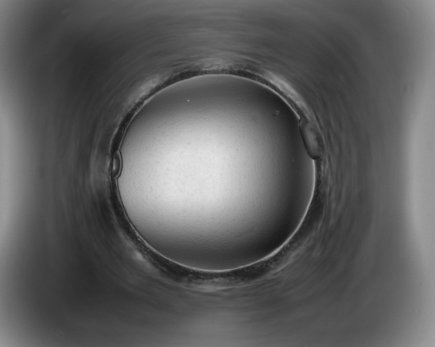 X0000085010485200703121525