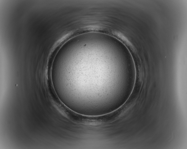 X0000085010486200703121525