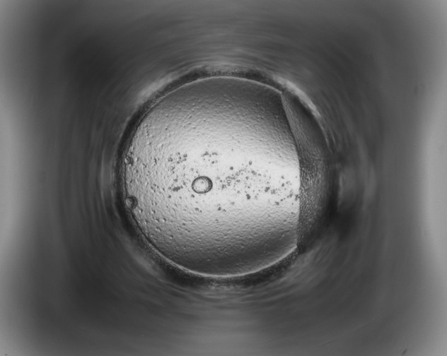 X0000085010487200703121525