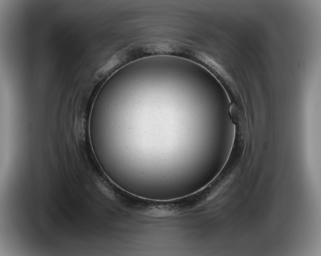 X0000085010489200703121524