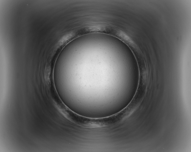 X0000085010490200703121524