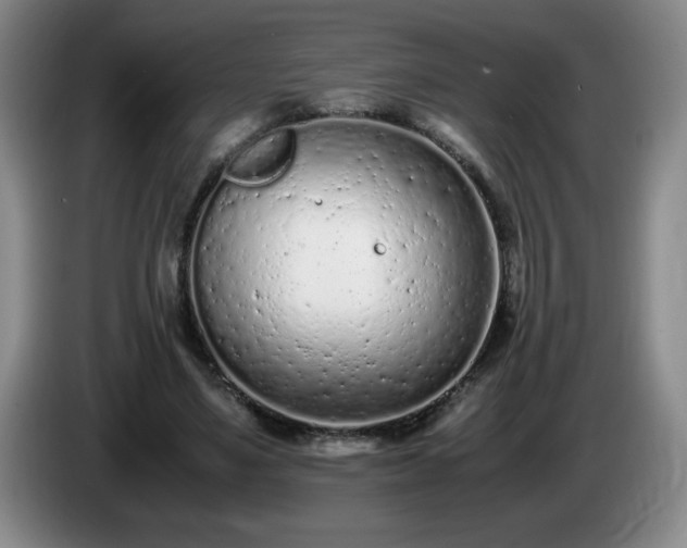 X0000085010491200703121524
