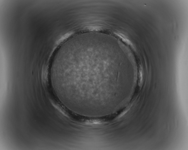 X0000085010492200703121524