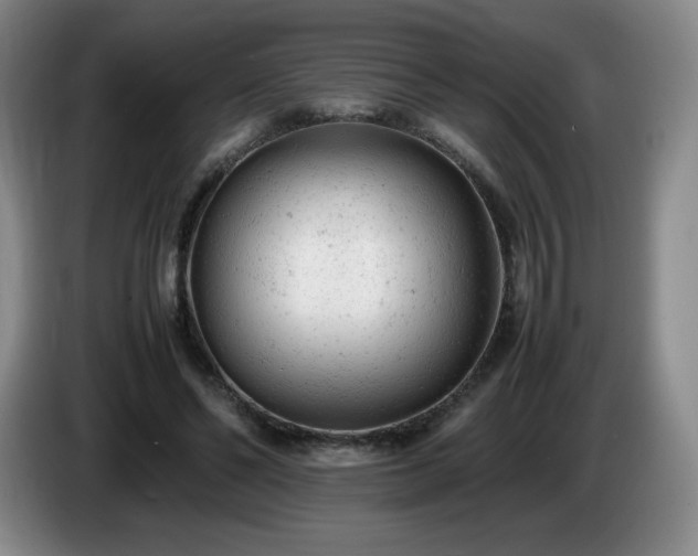 X0000085010494200703121524