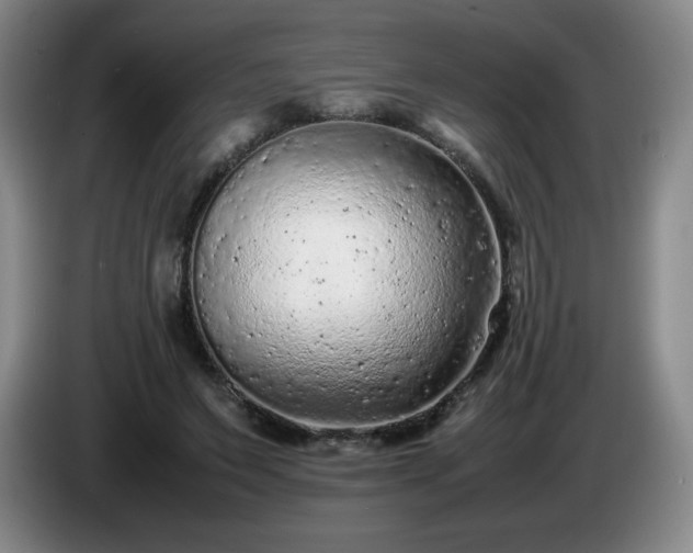X0000085010495200703121524