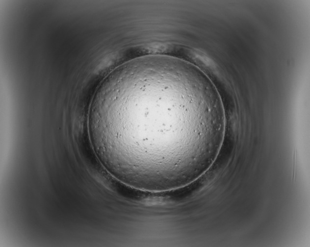 X0000085010499200703121524