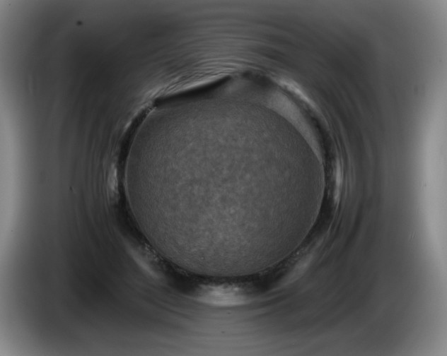 X0000085010500200703121524