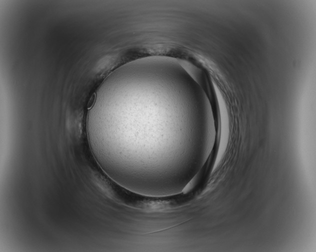 X0000085010501200703121524