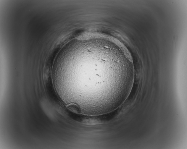 X0000085010503200703121524