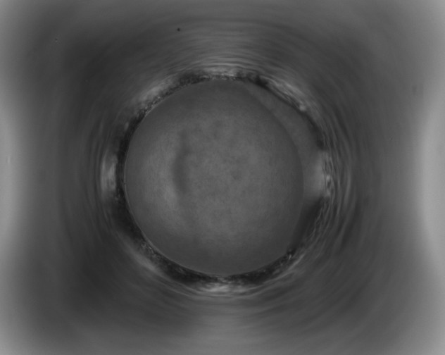 X0000085010504200703121524