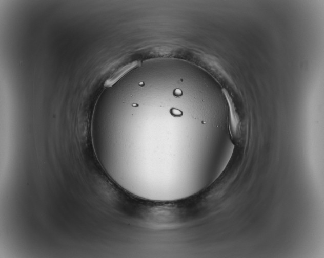 X0000085010505200703121524