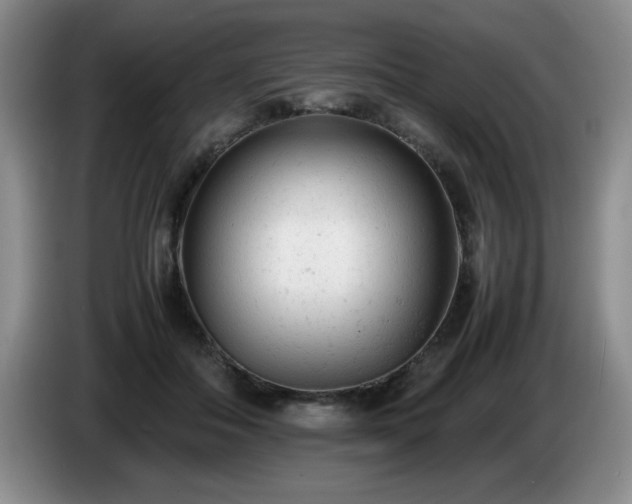 X0000085010506200703121524