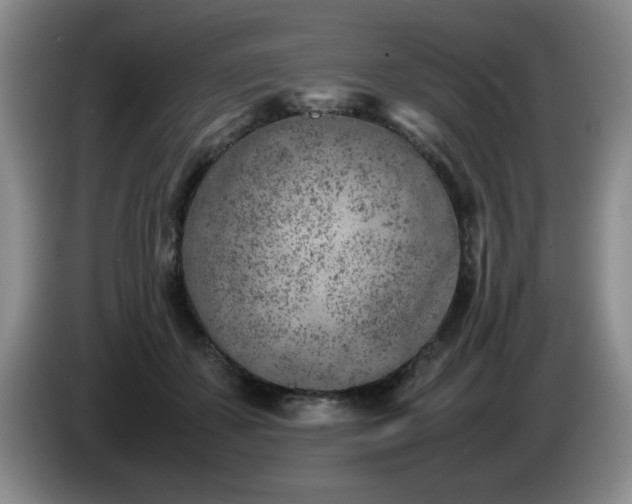 X0000085010507200703121524