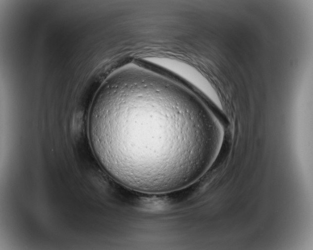 X0000085010511200703121524