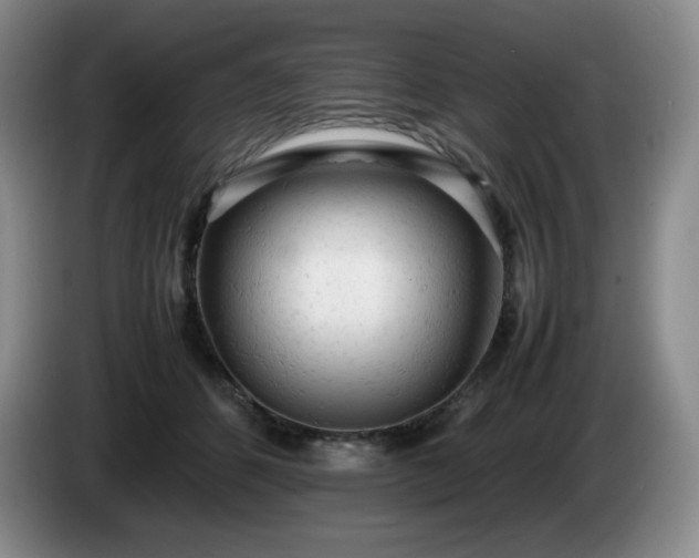 X0000085010512200703121524