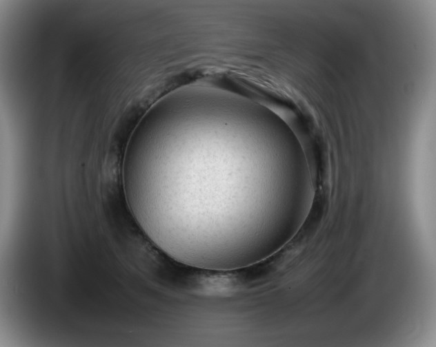 X0000085010513200703121524