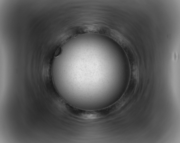 X0000085010514200703121524