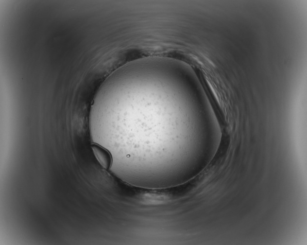 X0000085010515200703121524