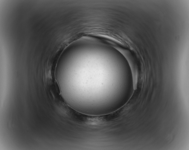 X0000085010516200703121524