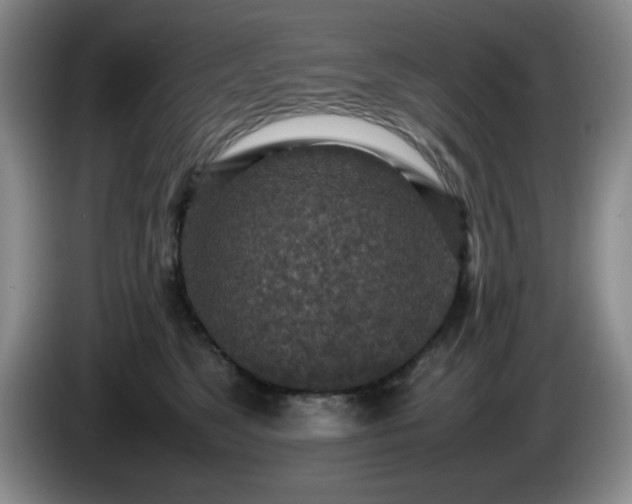 X0000085010517200703121524