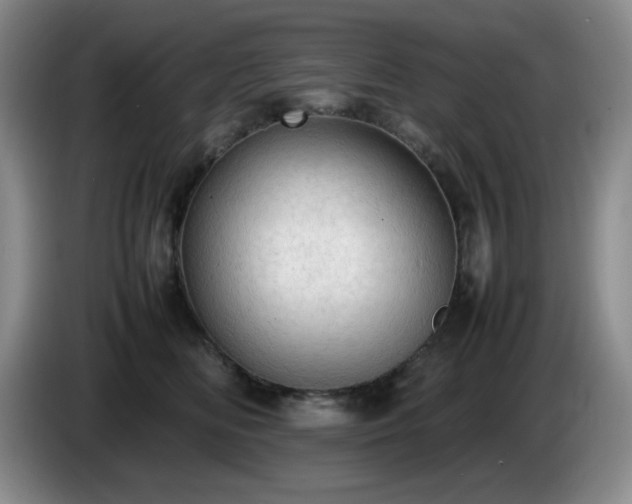X0000085010518200703121524