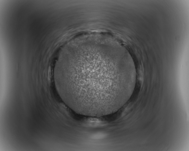 X0000085010519200703121524