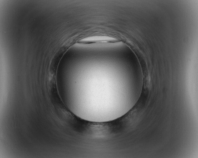 X0000085010521200703121524