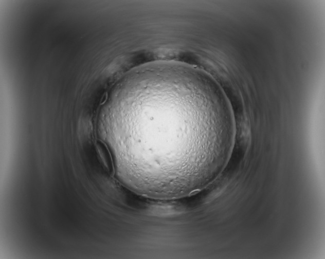 X0000085010523200703121524