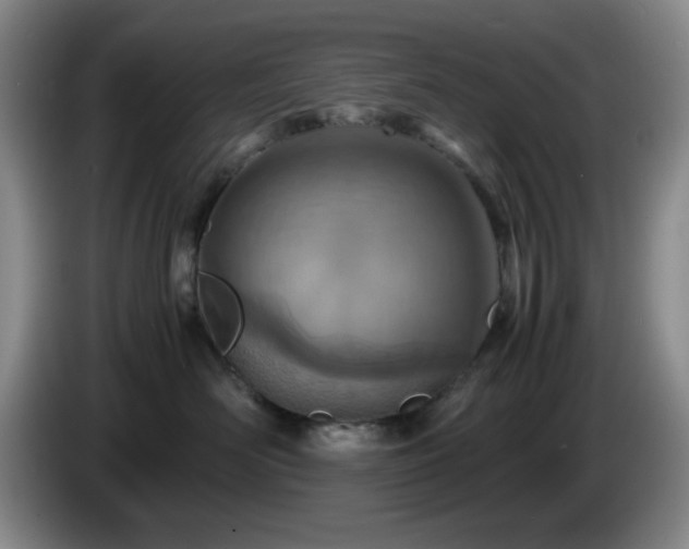 X0000085010526200703121524