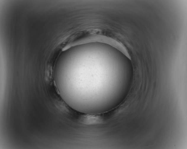 X0000085010528200703121524
