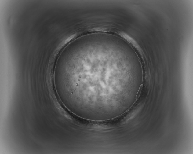 X0000085010529200703121523