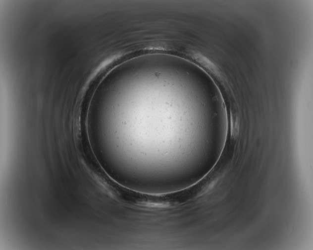X0000085010531200703121523