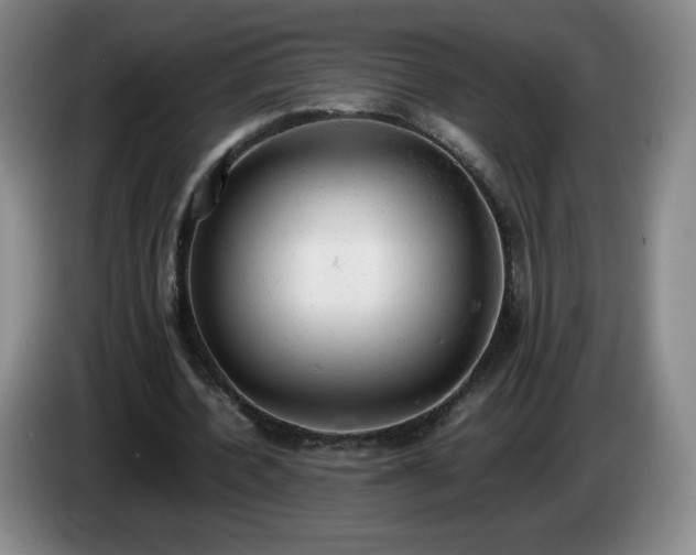 X0000085010532200703121523