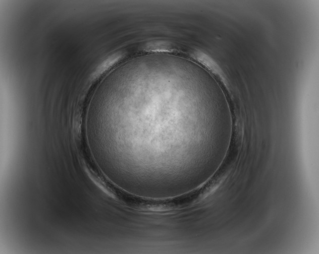 X0000085010533200703121523