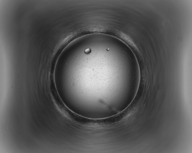 X0000085010538200703121523