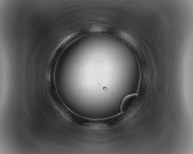 X0000085010539200703121523