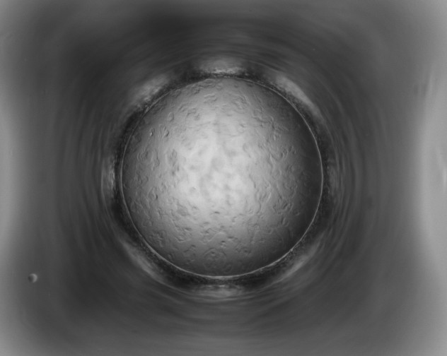 X0000085010541200703121523