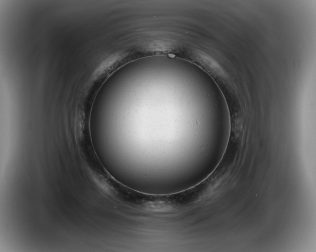 X0000085010544200703121524