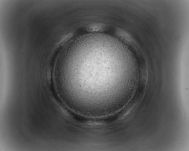 X0000085010545200703121524