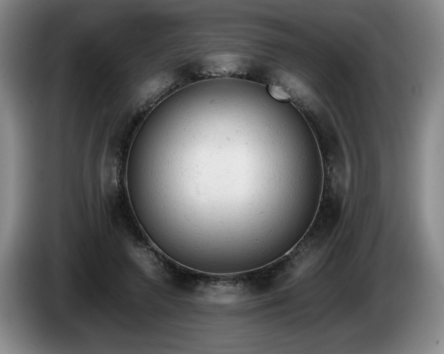X0000085010546200703121524