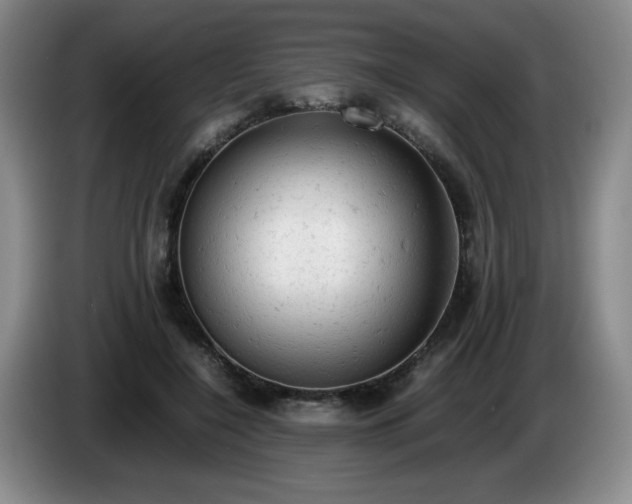X0000085010548200703121524