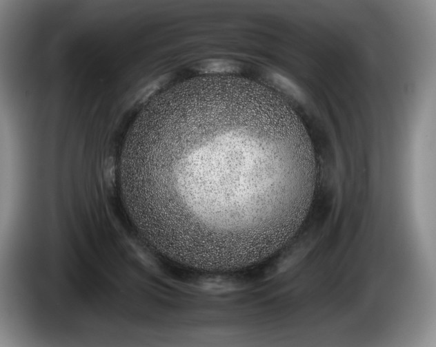 X0000085010549200703121524