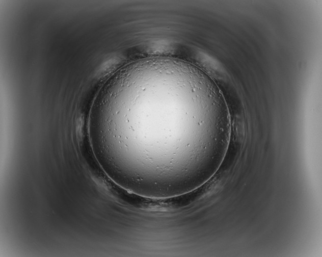 X0000085010550200703121524